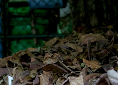 COMPOSTING3